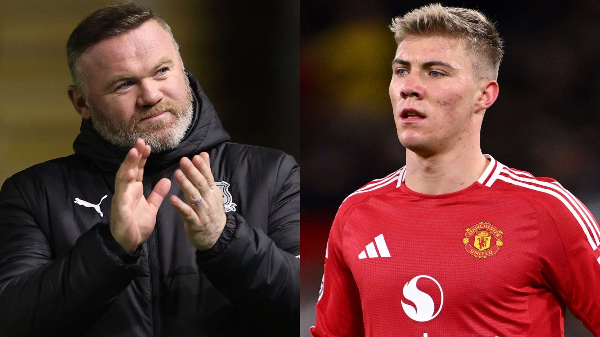 动物权益 动物权益