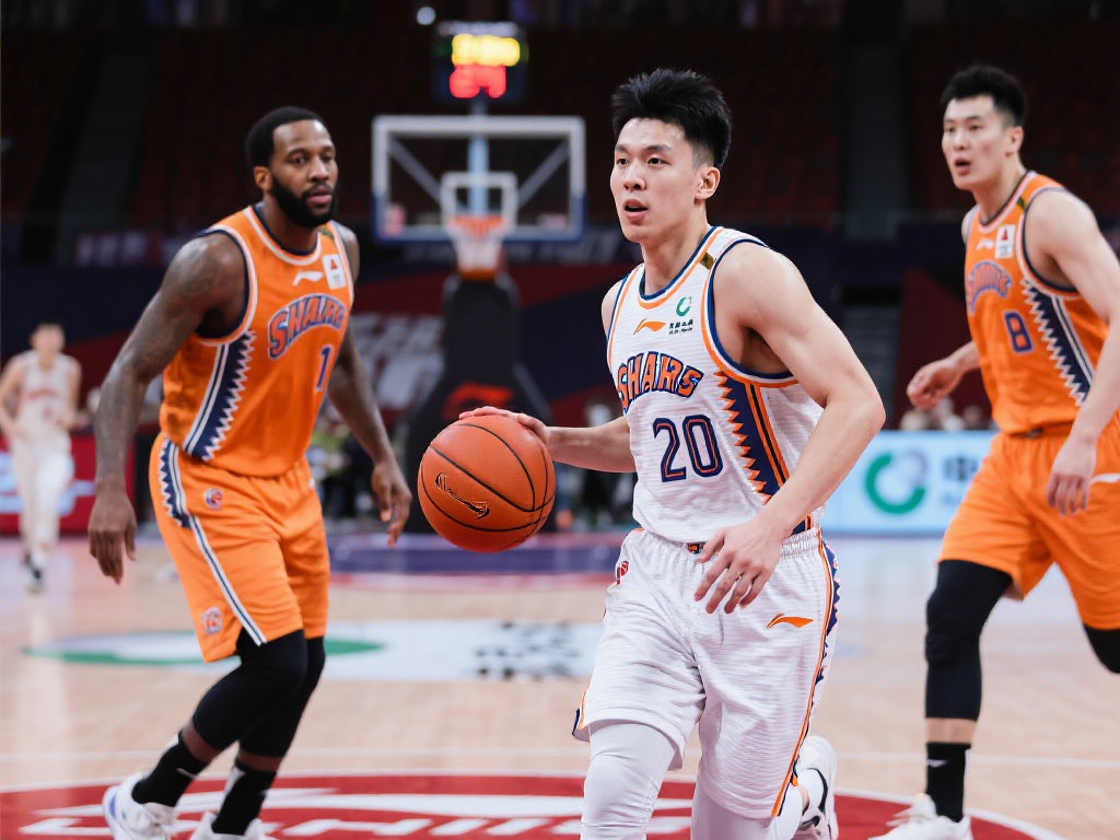 老将回归的 老将回归的